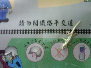 ���֐��z����