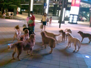 ��Z���X���Y�l?