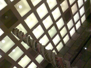 �c��������I����