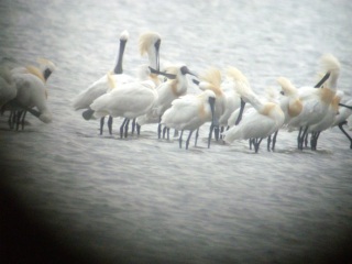 �]�����V��